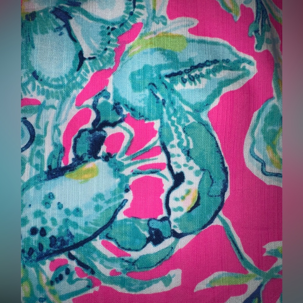 ADORABLE Lilly Pulitzer Brynn dress - Picture 11 of 15